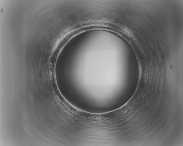 X0000057061360200509231521