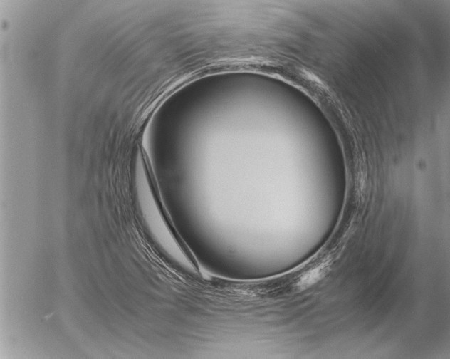 X0000057061361200509231521