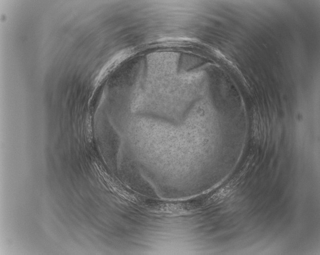 X0000057061362200509231521