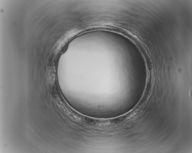 X0000057061363200509231521