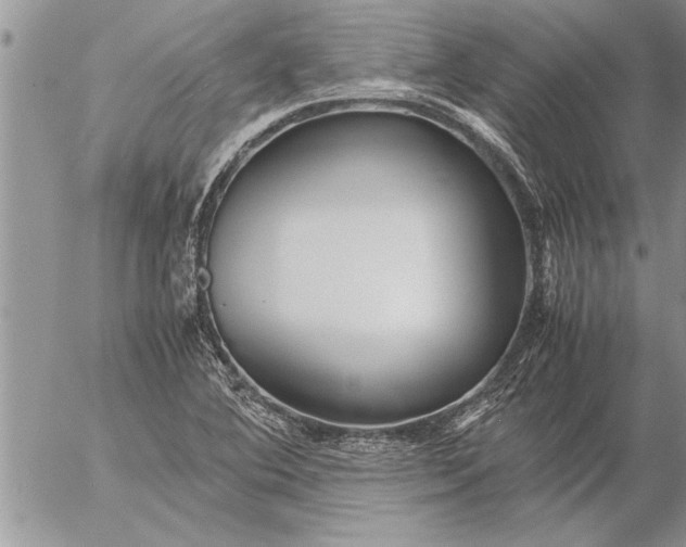 X0000057061364200509231521