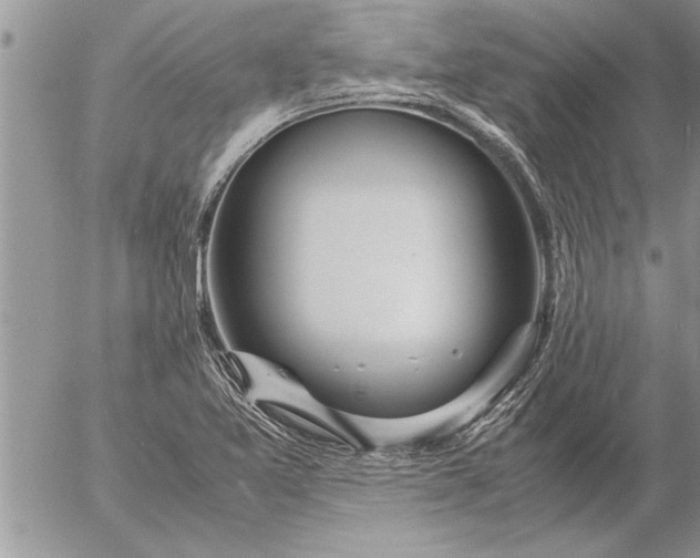 X0000057061365200509231521