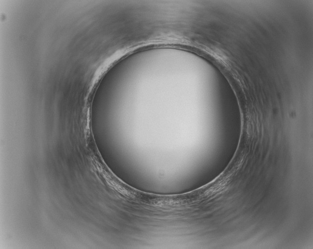 X0000057061366200509231521