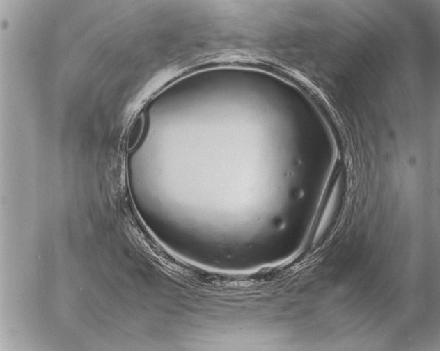 X0000057061367200509231521