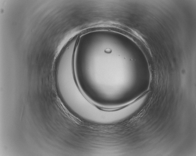 X0000057061368200509231521