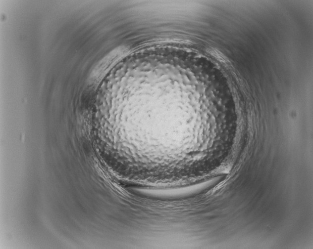 X0000057061369200509231521