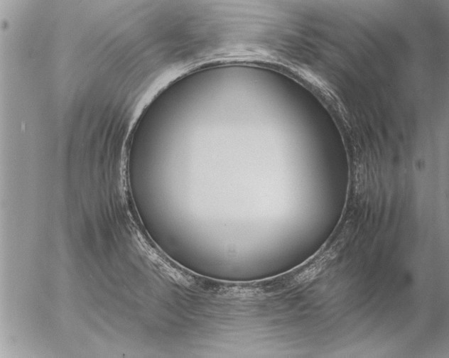 X0000057061374200509231521