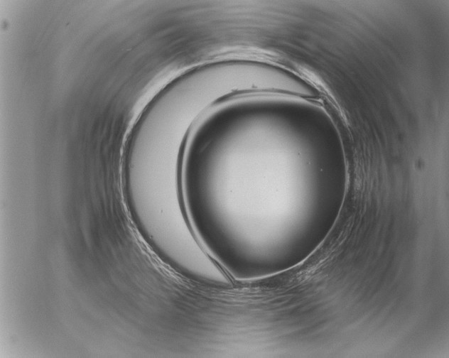 X0000057061376200509231521