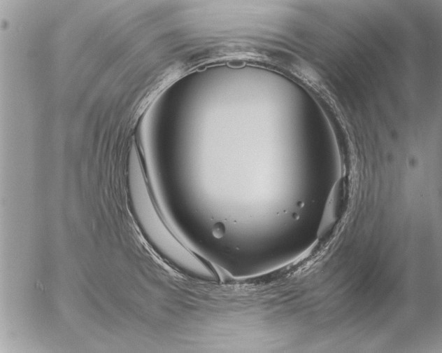 X0000057061377200509231521