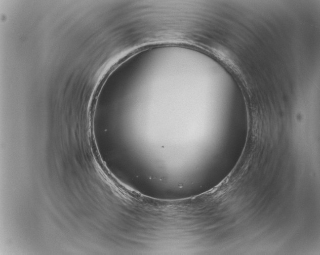 X0000057061380200509231521