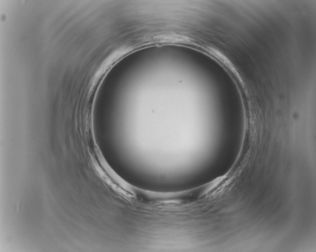 X0000057061381200509231521