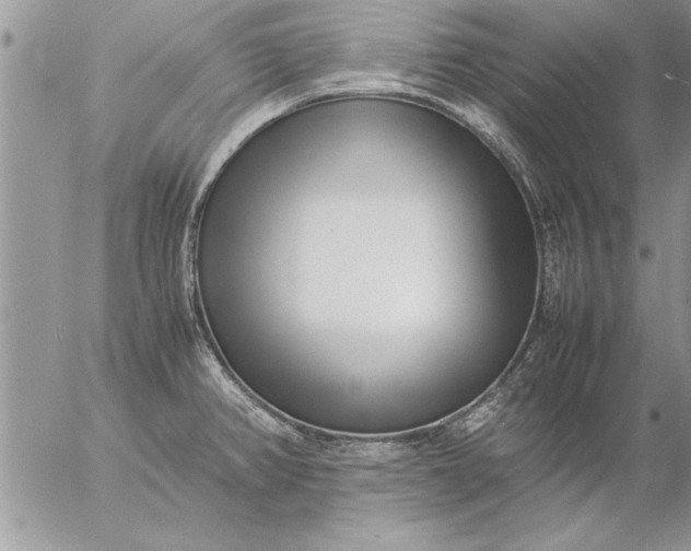 X0000057061382200509231521