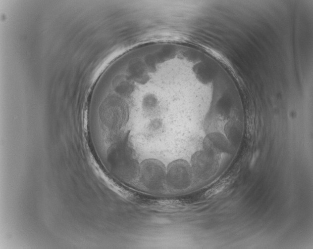 X0000057061383200509231521