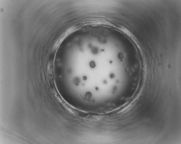 X0000057061385200509231521