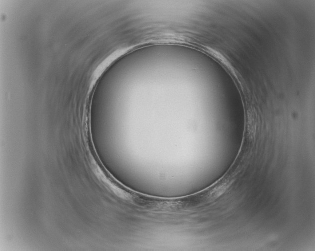 X0000057061387200509231521