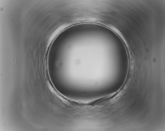 X0000057061389200509231521