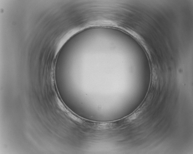 X0000057061390200509231521