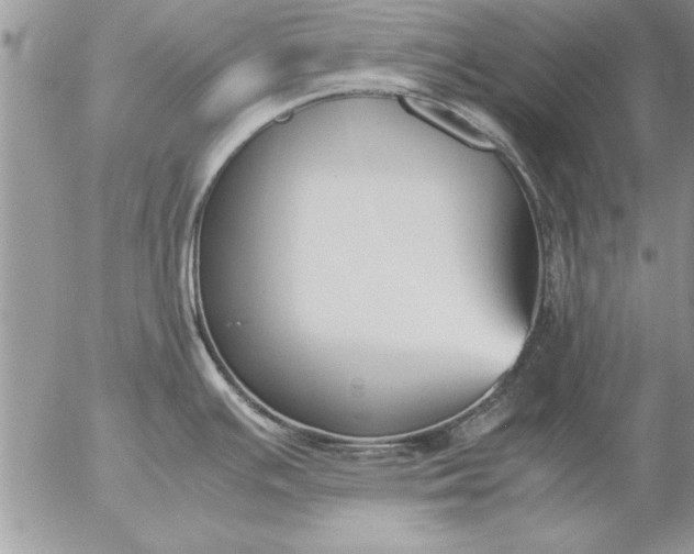 X0000057061391200509231521