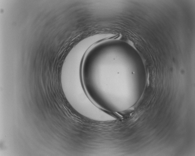 X0000057061394200509231520