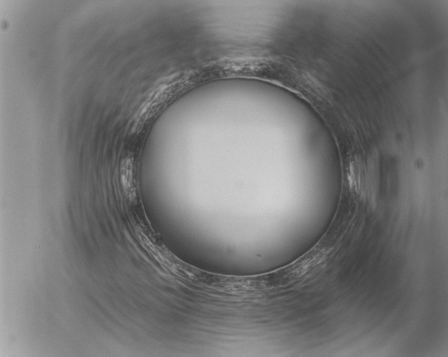 X0000057061396200509231520