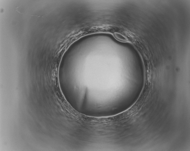 X0000057061397200509231520