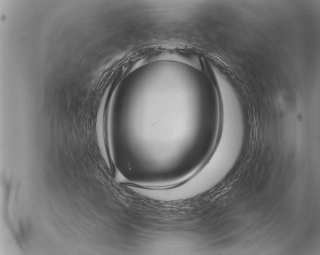 X0000057061398200509231520