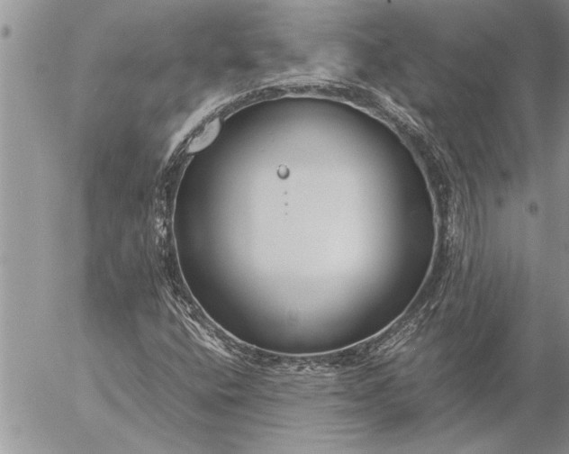 X0000057061400200509231520