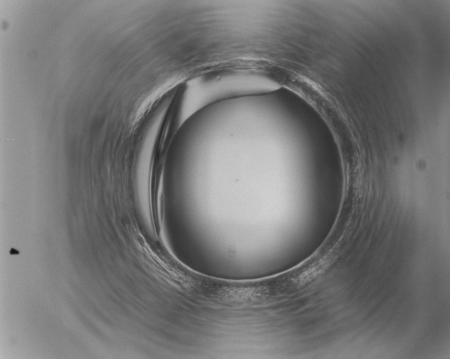 X0000057061402200509231520