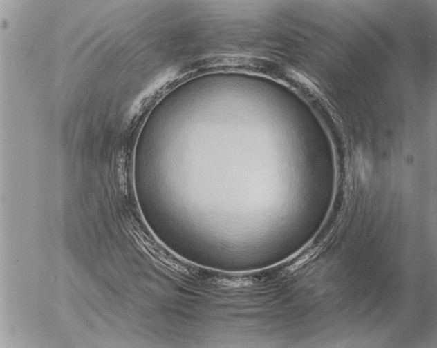 X0000057061403200509231520