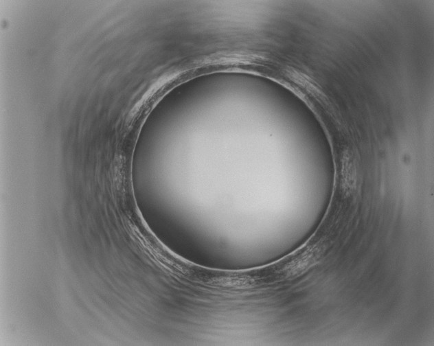 X0000057061404200509231520