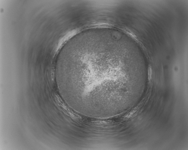 X0000057061405200509231520