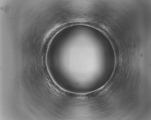 X0000057061406200509231520