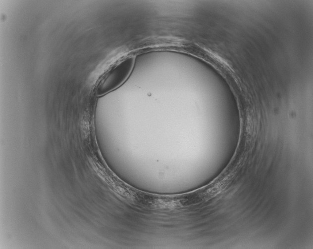 X0000057061407200509231520