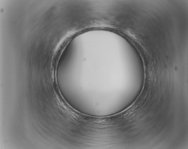 X0000057061408200509231520