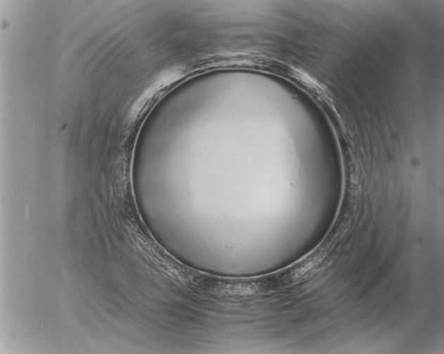 X0000057061411200509231520