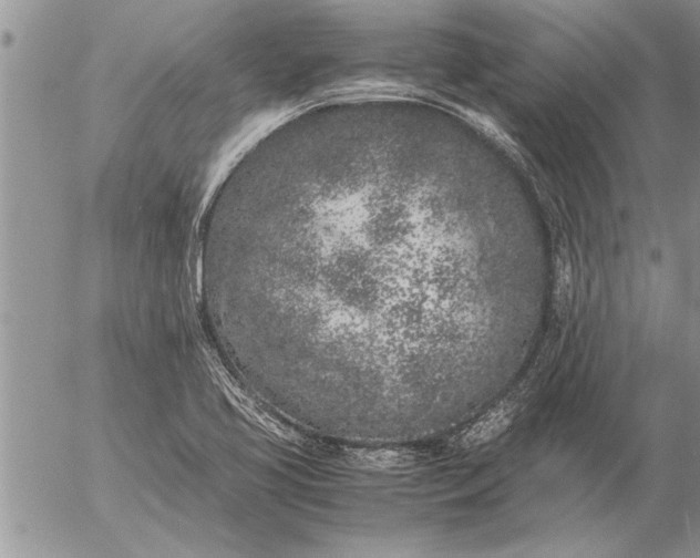 X0000057061413200509231520