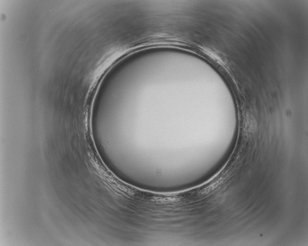 X0000057061415200509231520