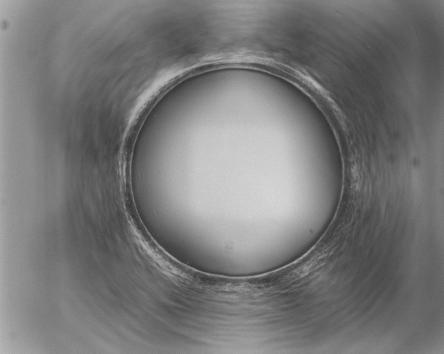 X0000057061416200509231520