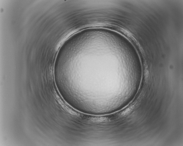 X0000057061417200509231520