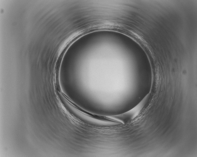 X0000057061418200509231520