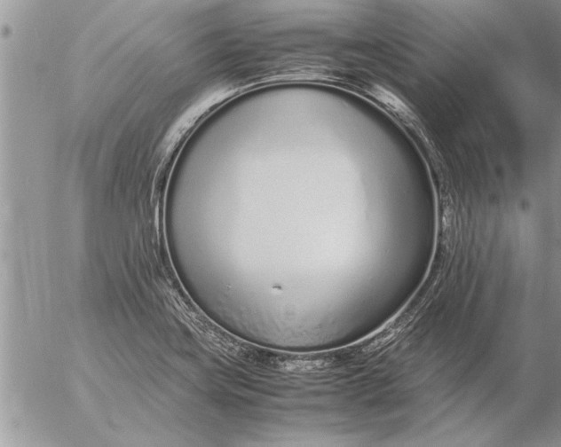 X0000057061419200509231520