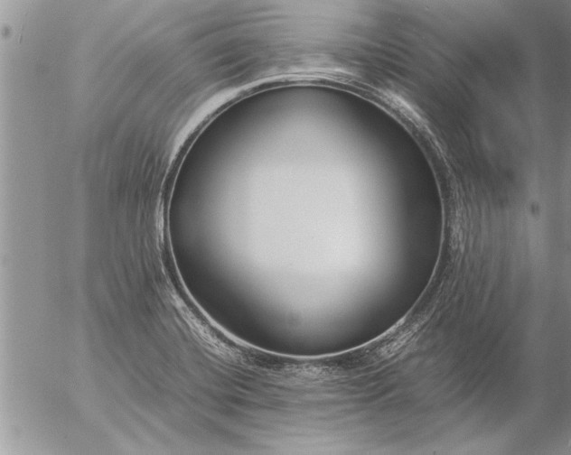 X0000057061420200509231520