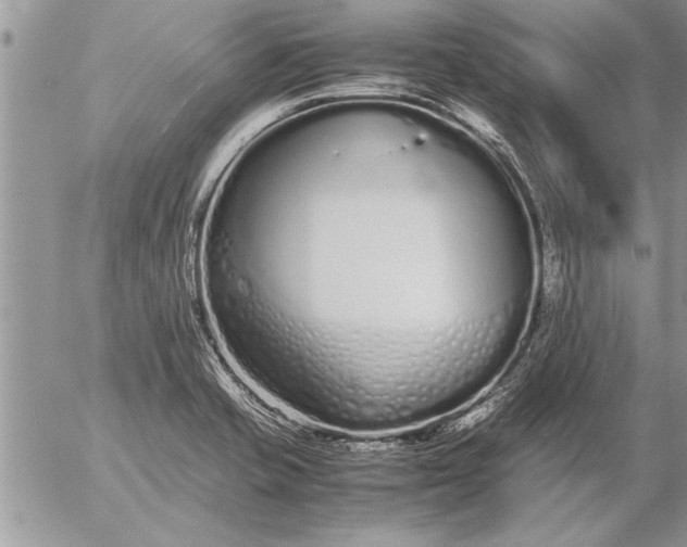 X0000057061421200509231520