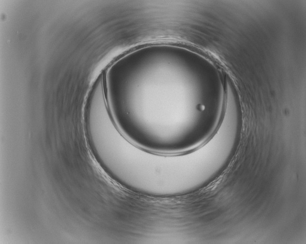 X0000057061422200509231520