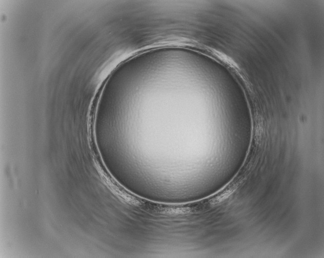 X0000057061423200509231520