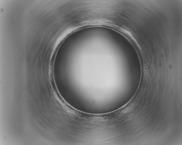 X0000057061424200509231520