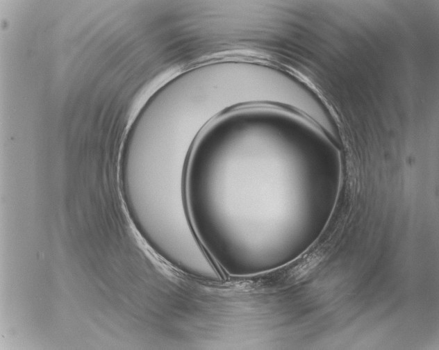 X0000057061426200509231520