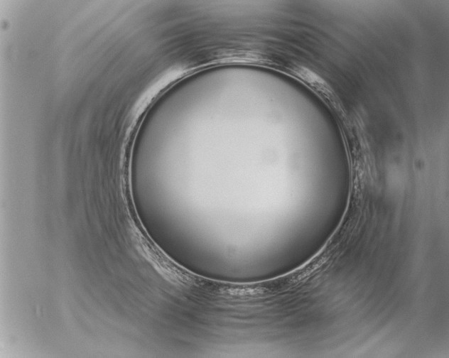 X0000057061427200509231520