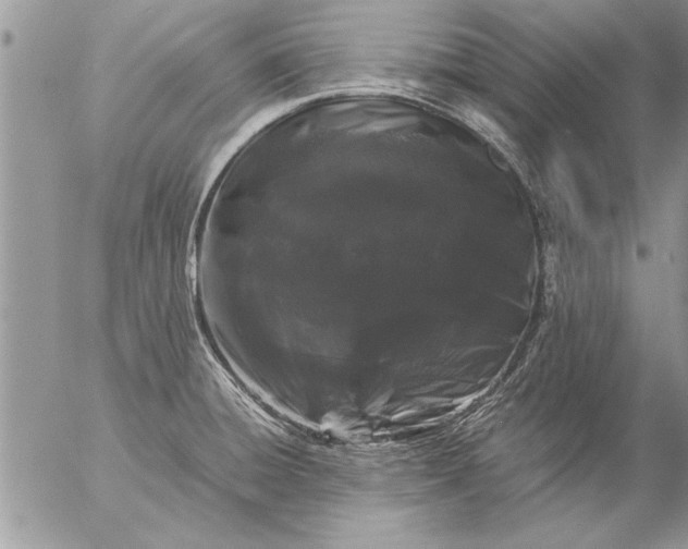 X0000057061428200509231520