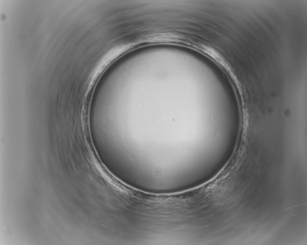 X0000057061429200509231520